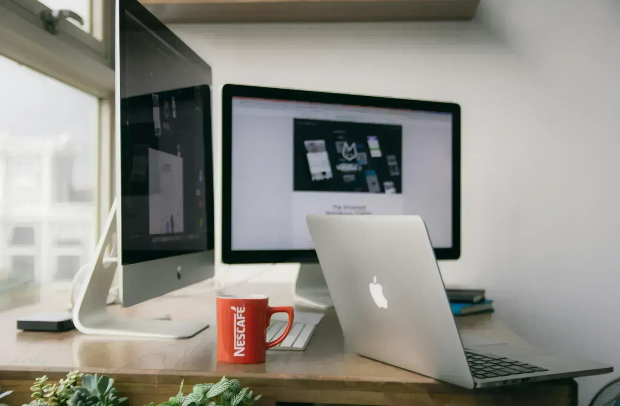 צוות מקצועי